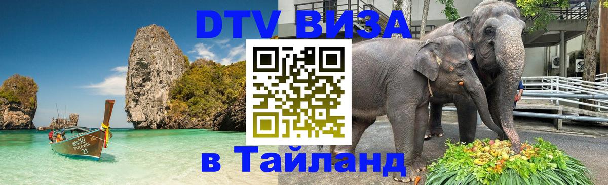 Оформление DTV визы под ключ: стоимость и тарифы, только загранпаспорт - 